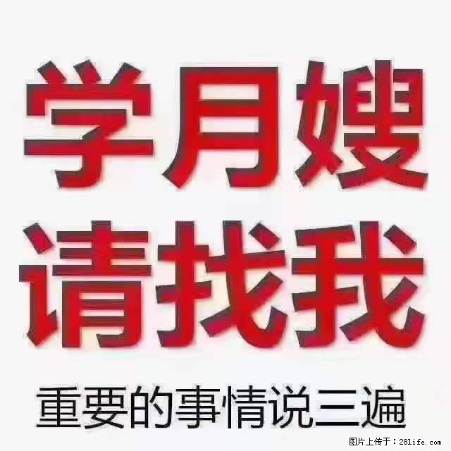 为什么要学习月嫂,育婴师? - 其他广告 - 广告专区 - 凭祥分类信息 - 凭祥28生活网 pingxiang.28life.com