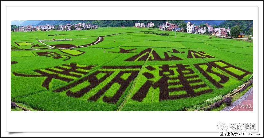 【春天,广西桂林灌阳县向您发出邀请!】开篇 - 游山玩水 - 凭祥生活社区 - 凭祥28生活网 pingxiang.28life.com