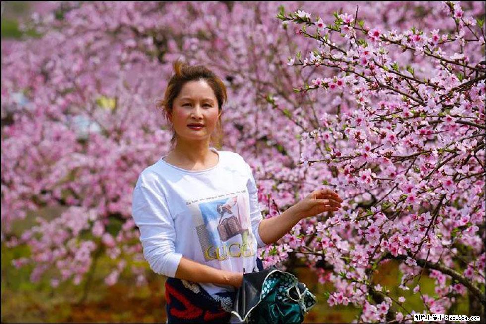 【春天，广西桂林灌阳县向您发出邀请！】官庄村有个醉美的桃花园 - 游山玩水 - 凭祥生活社区 - 凭祥28生活网 pingxiang.28life.com