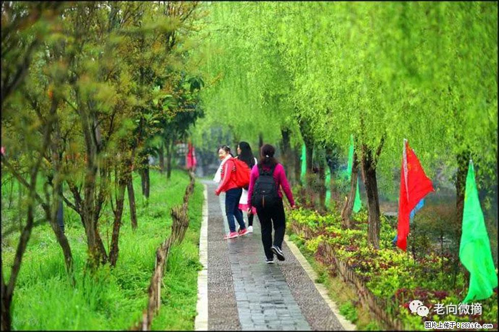 【春天，广西桂林灌阳县向您发出邀请！】江口老街又逢春 - 游山玩水 - 凭祥生活社区 - 凭祥28生活网 pingxiang.28life.com