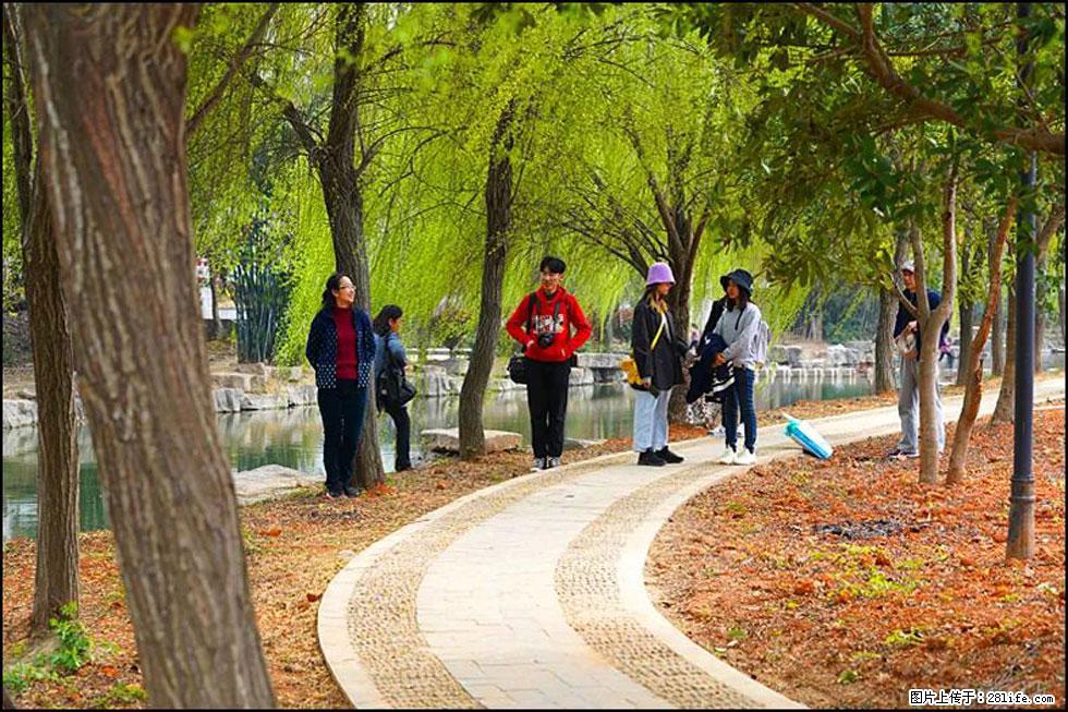 【春天，广西桂林灌阳县向您发出邀请！】江口老街又逢春 - 游山玩水 - 凭祥生活社区 - 凭祥28生活网 pingxiang.28life.com