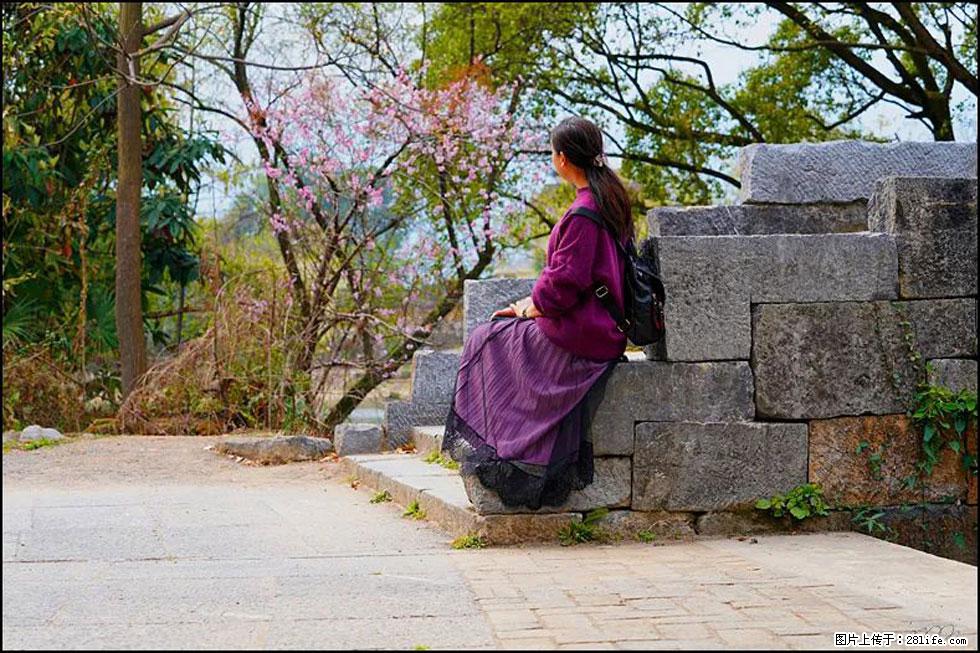 【春天，广西桂林灌阳县向您发出邀请！】江口老街又逢春 - 游山玩水 - 凭祥生活社区 - 凭祥28生活网 pingxiang.28life.com