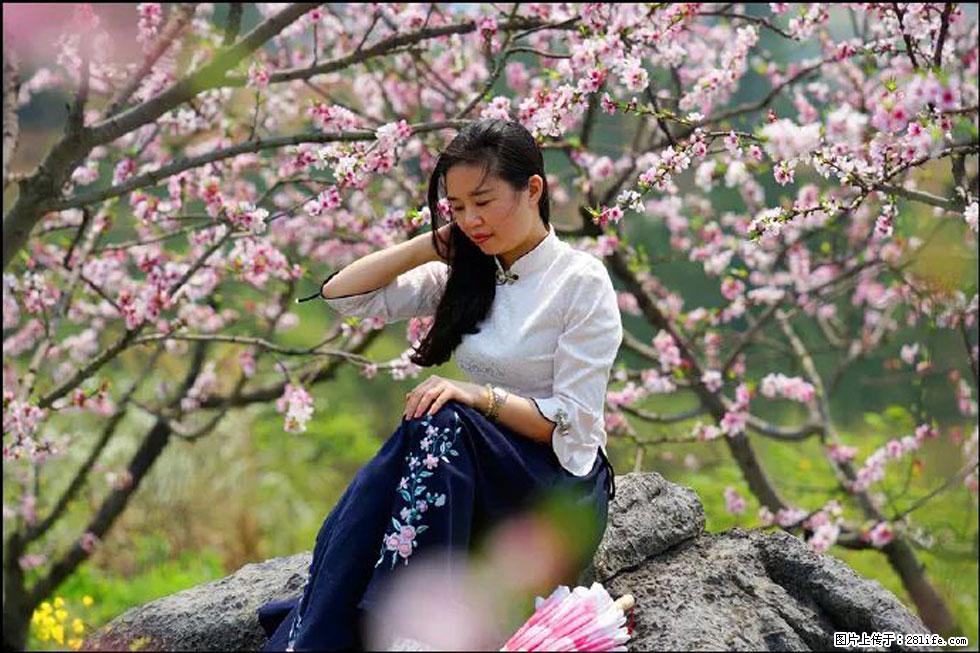 【春天,广西桂林灌阳县向您发出邀请!】望月岭上桃花开 - 游山玩水 - 凭祥生活社区 - 凭祥28生活网 pingxiang.28life.com