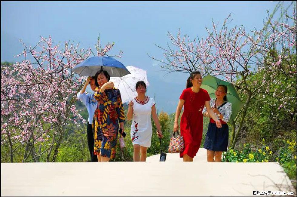 【春天,广西桂林灌阳县向您发出邀请!】望月岭上桃花开 - 游山玩水 - 凭祥生活社区 - 凭祥28生活网 pingxiang.28life.com