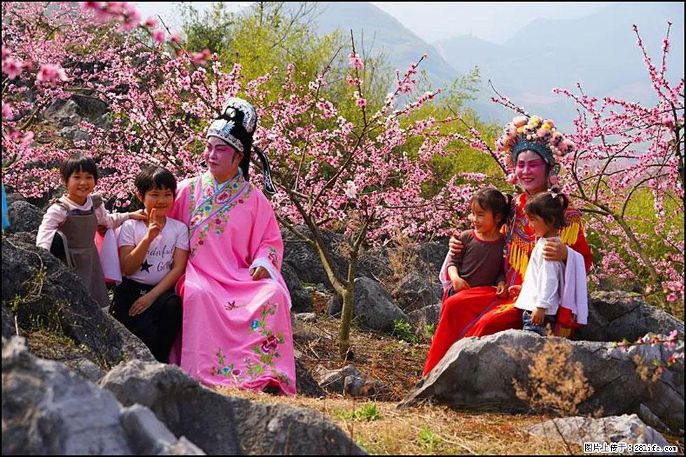 【春天,广西桂林灌阳县向您发出邀请!】望月岭上桃花开 - 游山玩水 - 凭祥生活社区 - 凭祥28生活网 pingxiang.28life.com