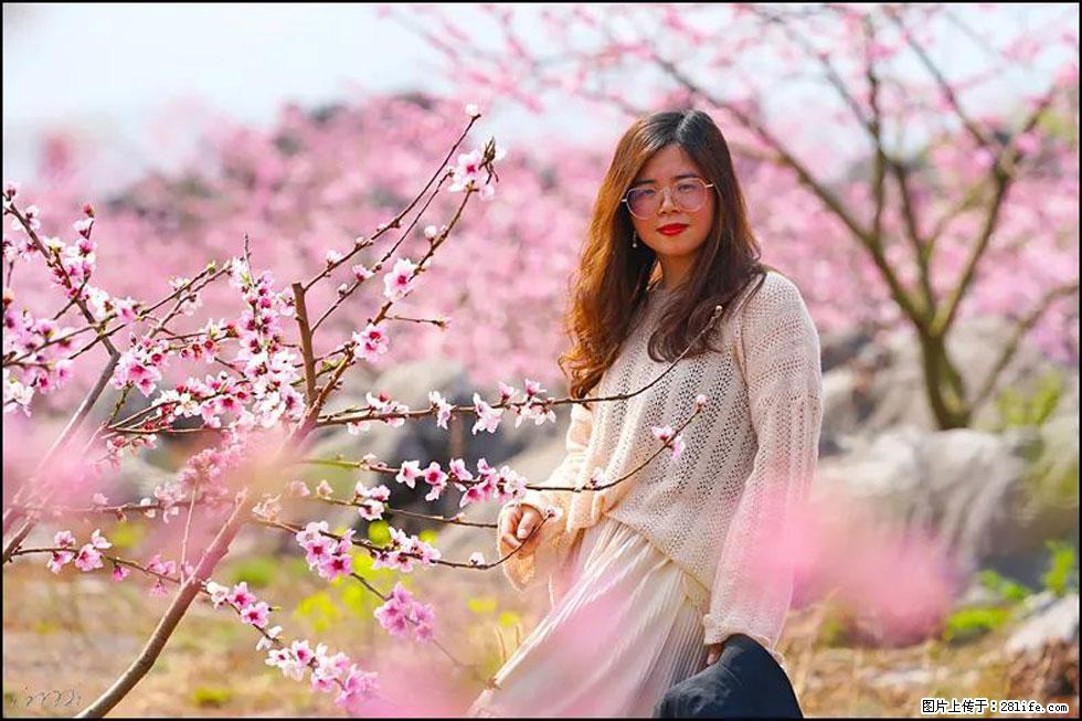 【春天,广西桂林灌阳县向您发出邀请!】望月岭上桃花开 - 游山玩水 - 凭祥生活社区 - 凭祥28生活网 pingxiang.28life.com