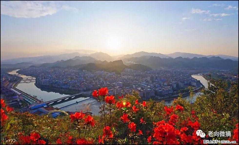【春天,广西桂林灌阳县向您发出邀请!】登麒麟山,相约映山红 - 游山玩水 - 凭祥生活社区 - 凭祥28生活网 pingxiang.28life.com
