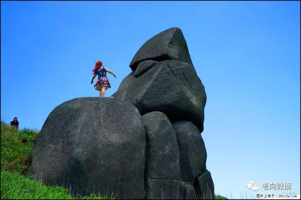 【春天,广西桂林灌阳县向您发出邀请!】宝盖山上映山红 - 游山玩水 - 凭祥生活社区 - 凭祥28生活网 pingxiang.28life.com