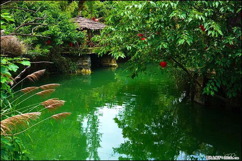 【春天，广西桂林灌阳县向您发出邀请！】如梦似幻莲溪庐 - 游山玩水 - 凭祥生活社区 - 凭祥28生活网 pingxiang.28life.com