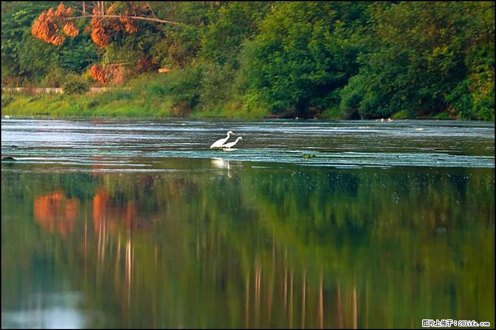 【春天,广西桂林灌阳县向您发出邀请!】熊家寨湿地公园 - 游山玩水 - 凭祥生活社区 - 凭祥28生活网 pingxiang.28life.com