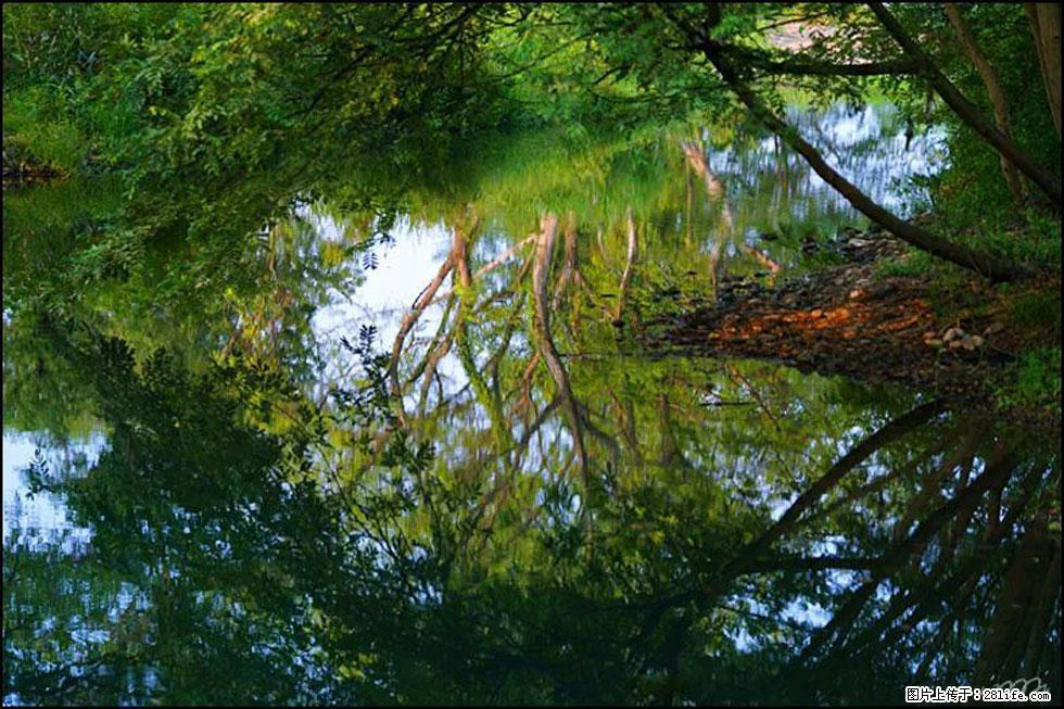 【春天,广西桂林灌阳县向您发出邀请!】熊家寨湿地公园 - 游山玩水 - 凭祥生活社区 - 凭祥28生活网 pingxiang.28life.com