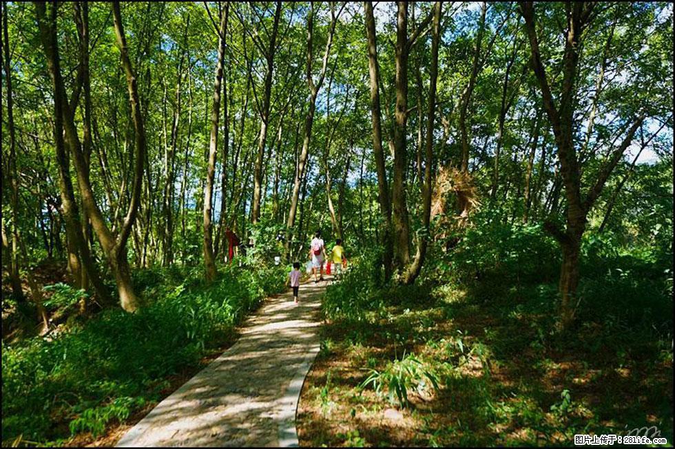 【春天,广西桂林灌阳县向您发出邀请!】熊家寨湿地公园 - 游山玩水 - 凭祥生活社区 - 凭祥28生活网 pingxiang.28life.com