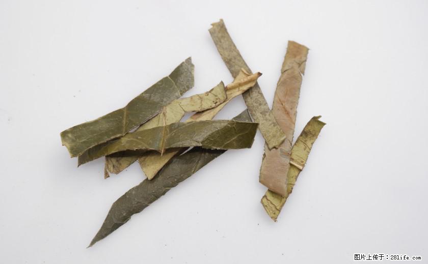 苦丁茶有哪些功效和作用 - 生活百科 - 凭祥生活社区 - 凭祥28生活网 pingxiang.28life.com