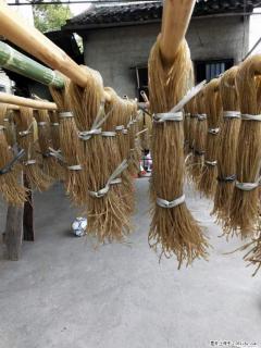 【灌阳正宗红薯粉】美女家里自己做的，干净卫生，假一赔十，价格合理，抢购电话：13737312895 - 凭祥28生活网 pingxiang.28life.com