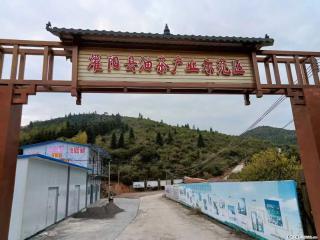 【灌阳县油茶产业示范区】一个有着充实的精神生活的人，对待身外之物自会有一种淡泊的态度 - 凭祥28生活网 pingxiang.28life.com