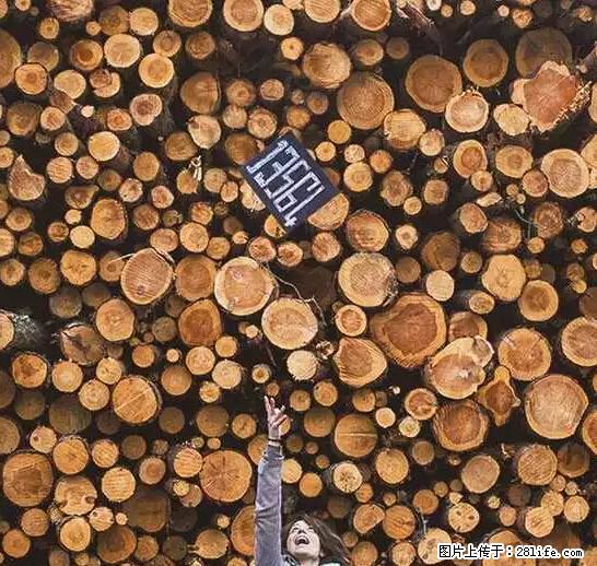 辞掉工作周游世界？现在他们在洗厕所…… - 游山玩水 - 凭祥生活社区 - 凭祥28生活网 pingxiang.28life.com