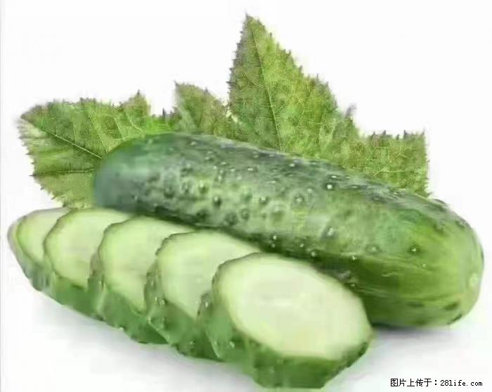 【生活小常识】吃黄瓜的好处 - 生活百科 - 凭祥生活社区 - 凭祥28生活网 pingxiang.28life.com