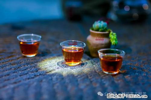 时间果百年古树2025年春红茶 - 购物交流 - 凭祥生活社区 - 凭祥28生活网 pingxiang.28life.com