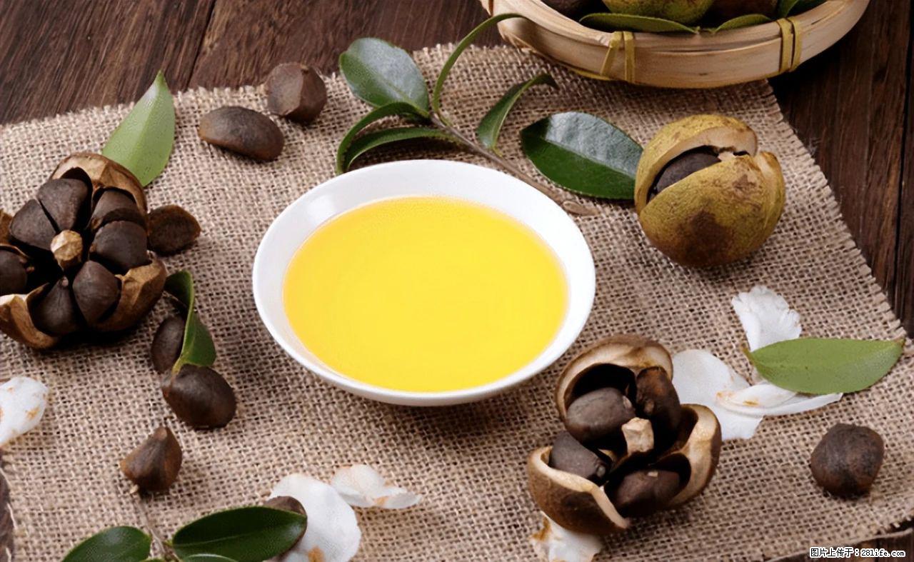 揭秘茶油的5大核心营养成分！被称为人体健康的“守护盾”！ - 凭祥生活资讯 - 凭祥28生活网 pingxiang.28life.com