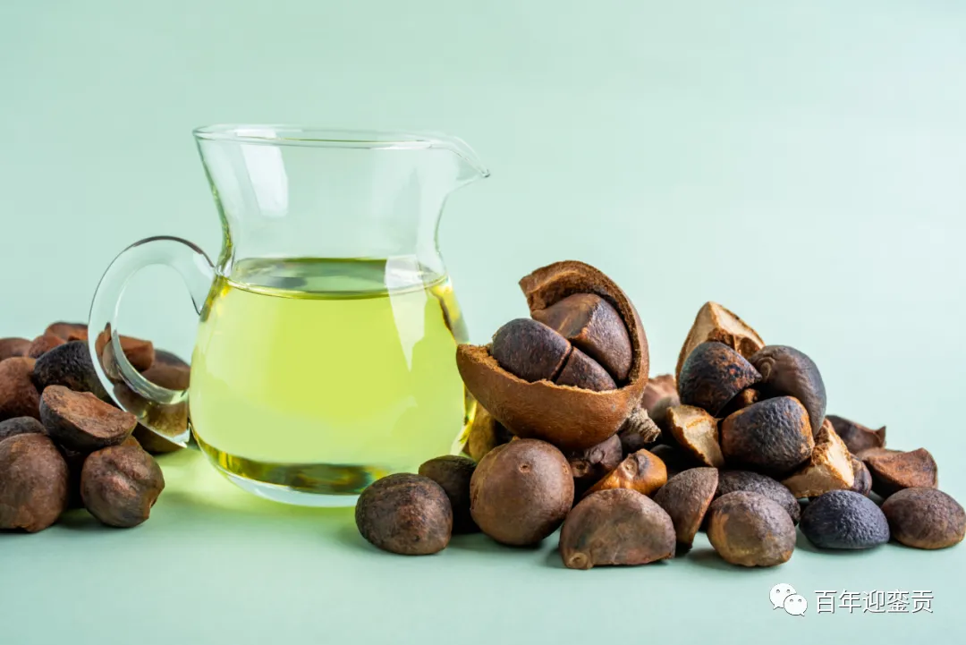 世界没有真相，只有认知，最好的食用油是中国的山茶油！ - 凭祥生活资讯 - 凭祥28生活网 pingxiang.28life.com