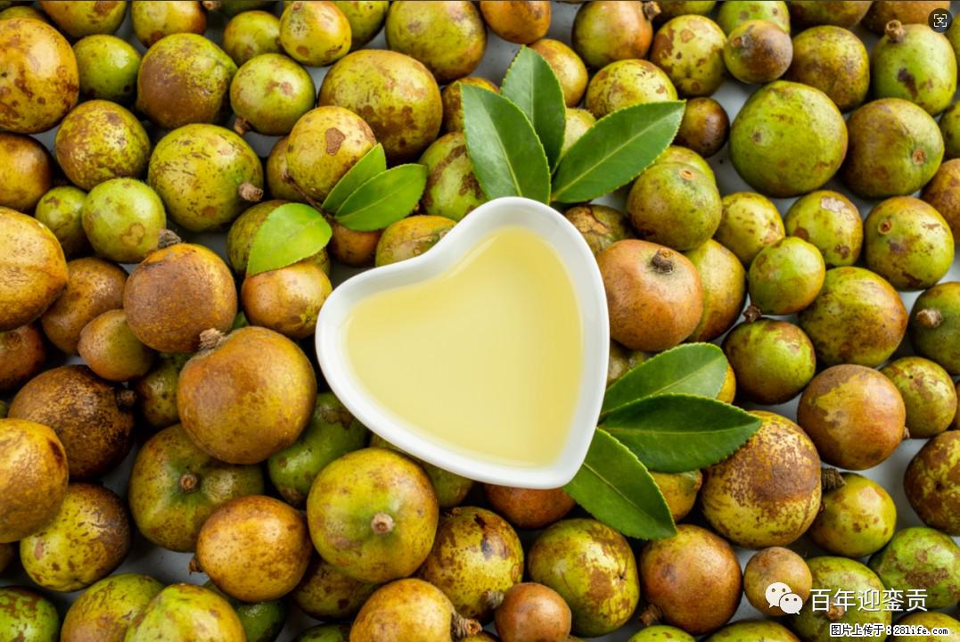 世界没有真相，只有认知，最好的食用油是中国的山茶油！ - 凭祥生活资讯 - 凭祥28生活网 pingxiang.28life.com