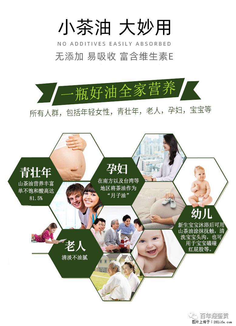 世界没有真相，只有认知，最好的食用油是中国的山茶油！ - 凭祥生活资讯 - 凭祥28生活网 pingxiang.28life.com