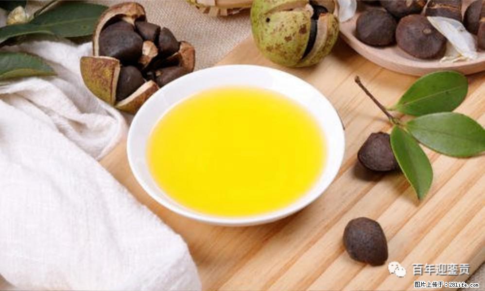 世界没有真相，只有认知，最好的食用油是中国的山茶油！ - 凭祥生活资讯 - 凭祥28生活网 pingxiang.28life.com