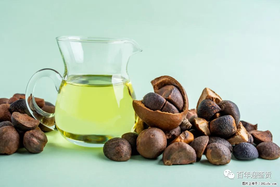 世界没有真相，只有认知，最好的食用油是中国的山茶油！ - 凭祥生活资讯 - 凭祥28生活网 pingxiang.28life.com