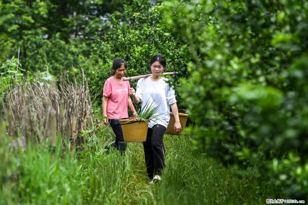 全网追的“扁担女孩”，找了一份暑假工，时薪12元 - 凭祥生活资讯 - 凭祥28生活网 pingxiang.28life.com
