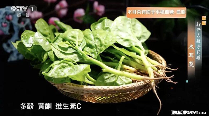 比牛奶补钙还厉害！凉血解毒、稳血糖...这菜冬天必吃，很多人却当草 - 凭祥生活资讯 - 凭祥28生活网 pingxiang.28life.com