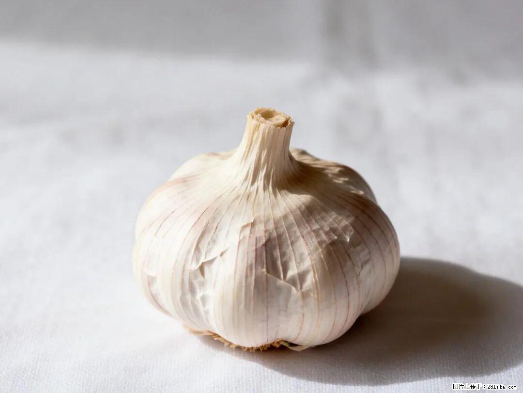 关于大蒜，除了“天然抗生素”，这4个谣言更该警惕! - 凭祥生活资讯 - 凭祥28生活网 pingxiang.28life.com