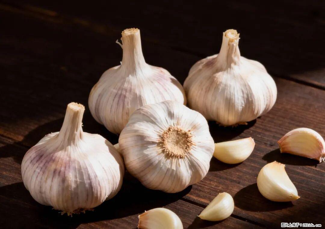 关于大蒜，除了“天然抗生素”，这4个谣言更该警惕! - 凭祥生活资讯 - 凭祥28生活网 pingxiang.28life.com